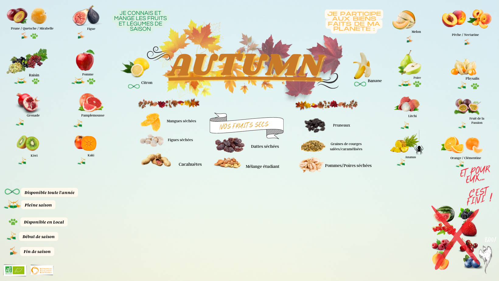 LES SAISONS , FRUITS EN AUTOMNE 
